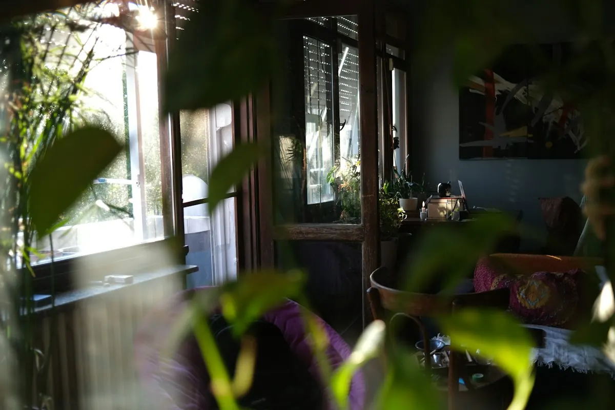 Ambiente iluminado pelo sol, com muitas plantas